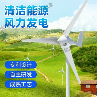 小型风力发电机厂家批发100W24v风光互补太阳路灯山区新能源装饰图3