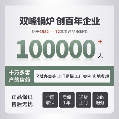 双峰锅炉 生物质颗粒 燃煤 工业全自动 商用节能 卧式蒸 汽发生器图3