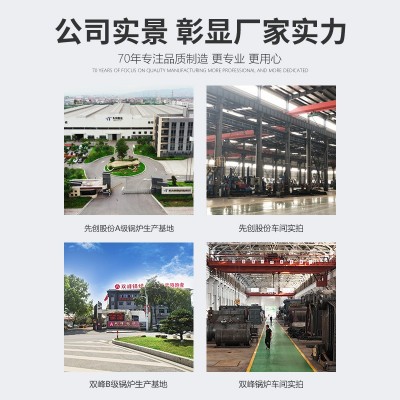 双峰电蒸汽发生器蒸汽机商用工业蒸气生物质全自动电加热 蒸汽锅炉图4