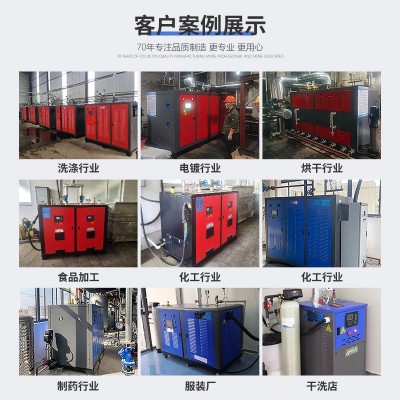 双峰电蒸汽发生器蒸汽机商用工业蒸气生物质全自动电加热 蒸汽锅炉图3