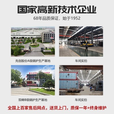 双峰生物质颗粒燃料锅炉养殖供暖地暖商用采暖工业热水锅 炉取暖图4