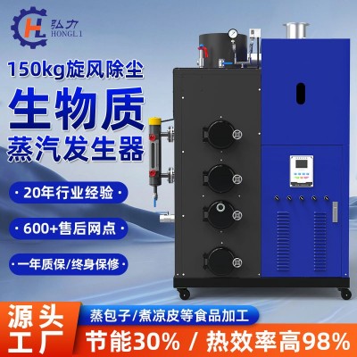 新款弘力80KG-1.5T旋风除尘锅炉生物质蒸汽发生器食品消毒蒸汽机