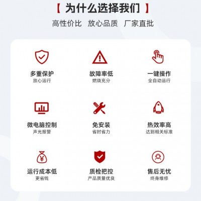新款弘力80KG-1.5T旋风除尘锅炉生物质蒸汽发生器食品消毒蒸汽机图3