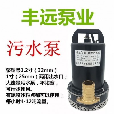 丰远直流污水泵电动车泥浆泵12v24v36v48v60v72抽水机大流量1.2寸图4