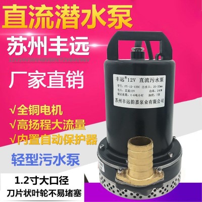 丰远直流污水泵电动车泥浆泵12v24v36v48v60v72抽水机大流量1.2寸图2