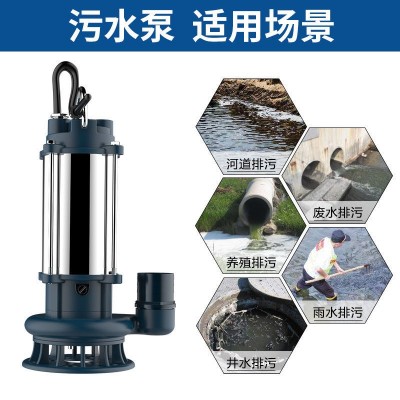 臣源不锈钢潜水泵220v家用排污抽水泵高扬程农用家用Mini配件370W图4