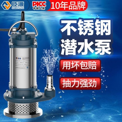 臣源不锈钢潜水泵220v家用排污抽水泵高扬程农用家用Mini配件370W图2