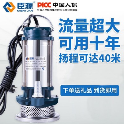 臣源不锈钢潜水泵220v家用排污抽水泵高扬程农用家用Mini配件370W