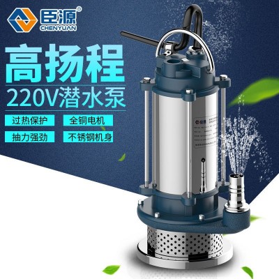 臣源不锈钢潜水泵220v家用排污抽水泵高扬程农用家用Mini配件370W图3