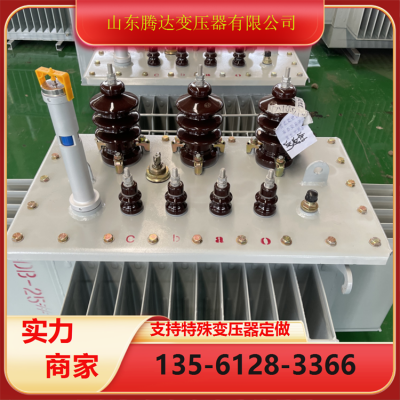 S13型铜芯315KVA/10/0.4KV油浸式电力变压器 全国发货 1台图3