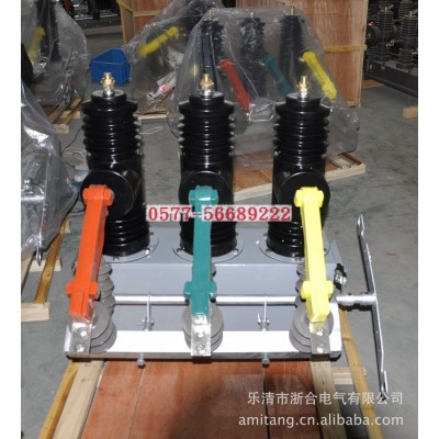 专业生产AB-3S-12永磁真空断路器AB-3S乐清生产企业图3
