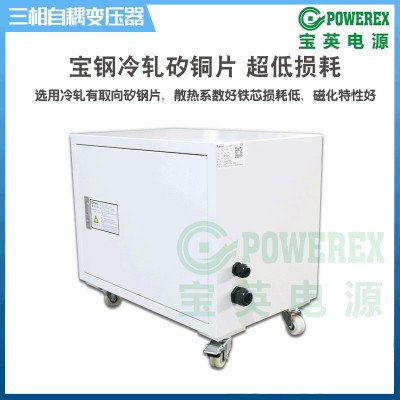 三相干式变压器380V变220V200V升降变压器自耦电源变压器图4