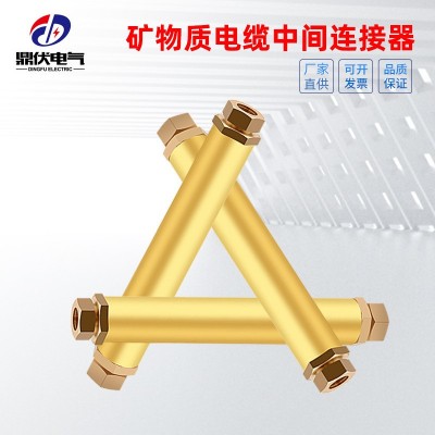 YTTW电缆对接头 绝缘防火电缆中间接头 BTTZ矿物质电缆中间 连接器    1只图2