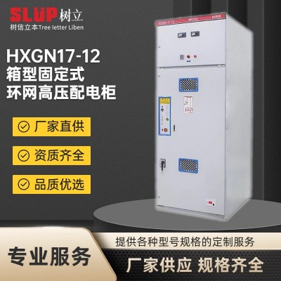 电气HXGN17-12高压成套开关设备环网柜配电柜SF6六氟化硫新能源 1台图2