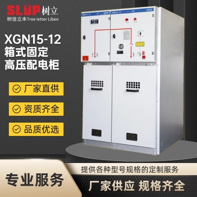 电气XGN15-12高压成套箱式开关设备配电柜中置柜SF6环网柜新能源 1台图2