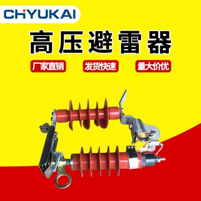 HY5WS-17/50DL-户外高压避雷器可卸式跌落式10KV复合氧化 锌避雷器 1件图2