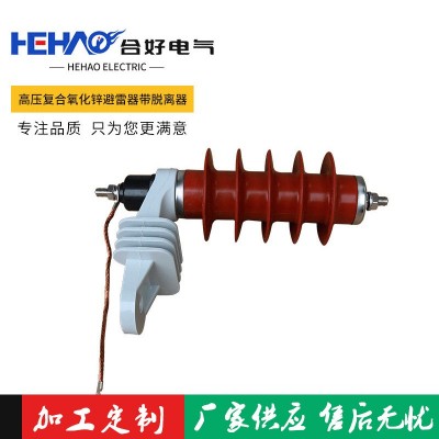 供应 10KV避雷器HY5WS-17-50L高压复合氧化锌避雷器带脱离器 1台图2