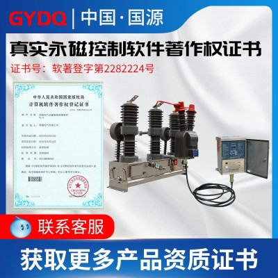 10kv永磁真空断路器ZW32-12MF智能单双机构35kv高压户外柱上开关图2