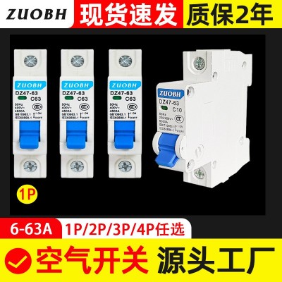 外贸空气开关小型断路器C45 DZ47-63-1P 32A 微断63A空开跨境现货图3