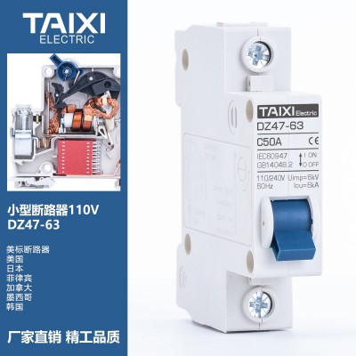 泰西110V60HZ美标断路器日本菲律宾加拿大墨西哥韩国空气开关1P2P图2