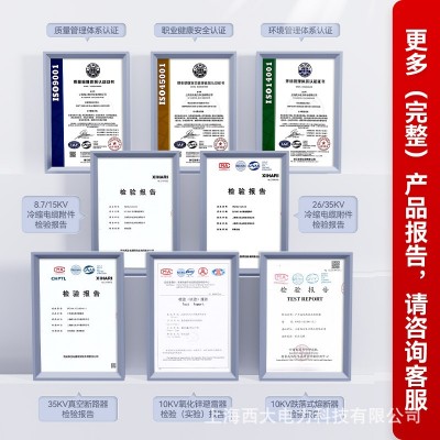 西大电力10KV户外高压电缆分支箱DFW-12/630一进一出带开关对接箱 1台图2
