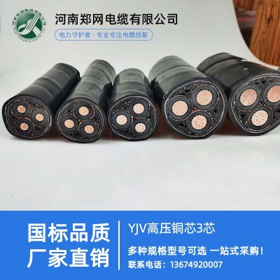 铜芯高压电缆 YJV22高压电力电缆铝芯电缆 35kv铠装电缆生产厂家图3
