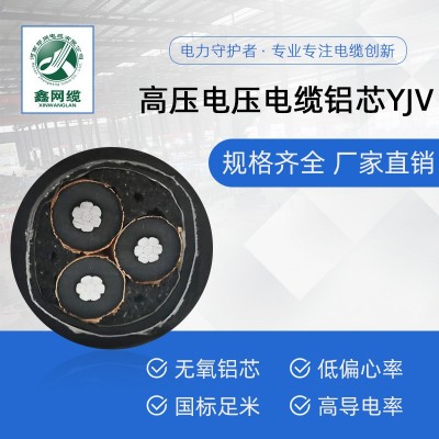 铜芯高压电缆 YJV22高压电力电缆铝芯电缆 35kv铠装电缆生产厂家图2