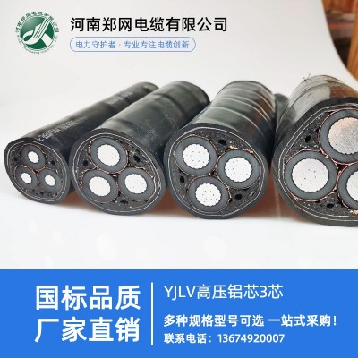 铜芯高压电缆 YJV22高压电力电缆铝芯电缆 35kv铠装电缆生产厂家图4