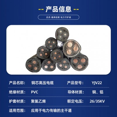 郑网yjv22铜芯高压电缆一芯三芯国标铠装铜芯电线10KV电线电缆yj图4