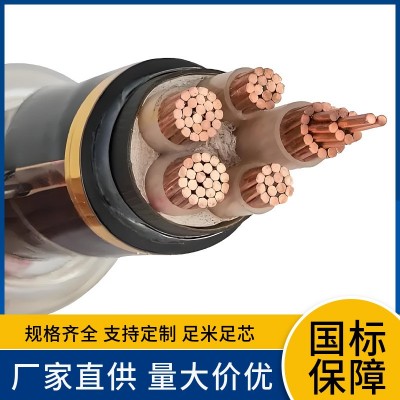 WDZB1-YJY YJV3x95+2x50 芯120 150 185 240 300 400平方电力电缆图4