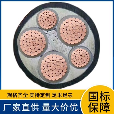 WDZB1-YJY YJV3x95+2x50 芯120 150 185 240 300 400平方电力电缆图5