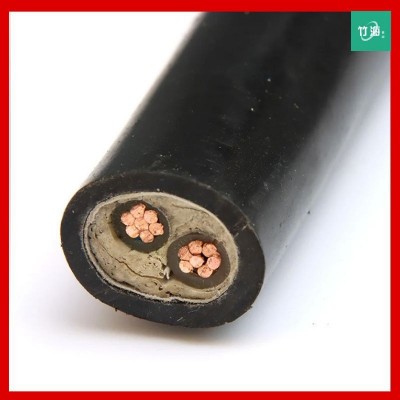 YJV2芯铜芯电缆0.6/1KV绝缘阻燃双芯电缆项目工程用电力电缆直供图2