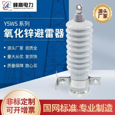 10KV户外高压陶瓷氧化锌避雷器Y5WS-17/50配电型无间隙一体防雷器图2