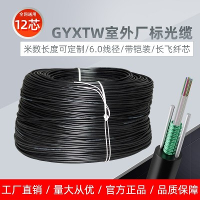 4芯光缆线室外单模6芯8芯12芯铠装GYXTW四六芯户外中心束管光纤线图2