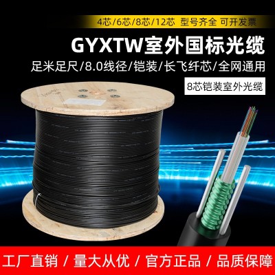 8芯光缆单模室外光纤线 GYXTW-8B1.3 国标中心管式电信级铠装户外图2