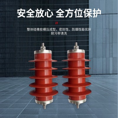 HY2.5WD-7.6/19（13.5/31）户外高压氧化锌避雷器17/45电机 型10KV图3