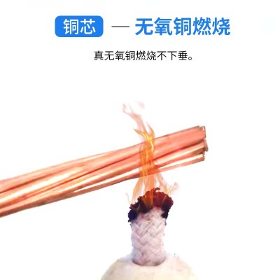 国标铜芯BV电线1.5/2.5/4/6平方单股硬线家用工业绝缘阻燃电缆线图3