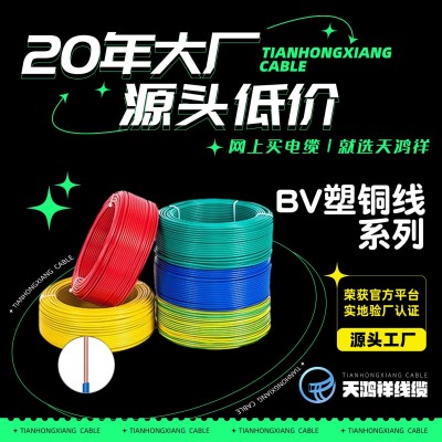 厂家大量批发25平方ZR-BV多股铜线 家用式缘导线型号电缆品质选择图3