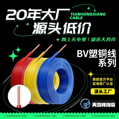天鸿祥ZR-BV阻燃家装多股塑铜线加工 定制强度大安全家用电线电缆图3