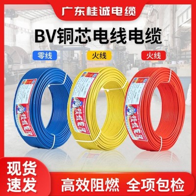 国标电缆线ZC-BV1.5/2.5/4/6/10/16平方铜芯单芯硬线家用阻燃电线图2
