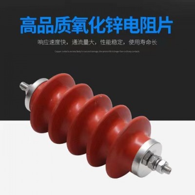 厂家供应10KV避雷器HY5WS-17/50高压交流复合绝缘氧化锌避雷器图2