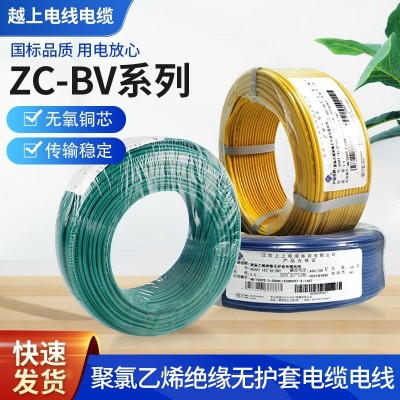 厂家供应ZC-BV系列聚氯乙烯绝缘无护套电缆电线图2