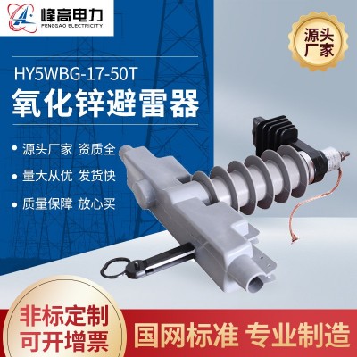 HY5WBG-17-50T户外高压氧化锌避雷器生产厂家图3