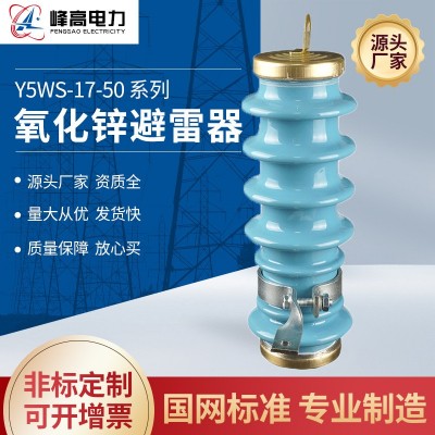 Y5WS-17-50户外高压氧化锌避雷器生产厂家避雷器放电用计数器图2