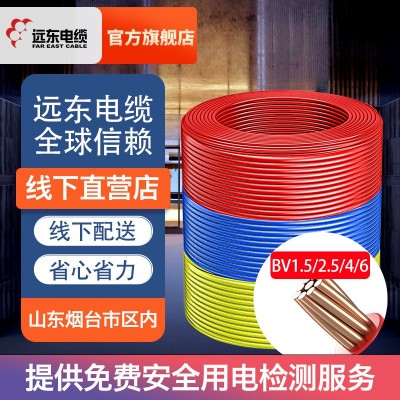 远东电缆阻燃BV1.5/2.5/4/6平方国标家装单芯铜电线阻燃线下提货图3