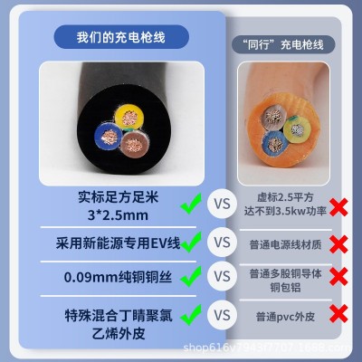 新能源电动汽车充电枪器随车便携式免接地家用比亚迪特斯拉五菱图2