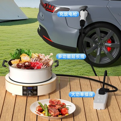 新能源随车充电动汽车充电枪比亚迪家用便携桩器免接地宝220V16A图5