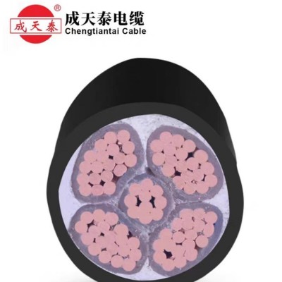 深圳成天泰YJV阻燃铜芯国标电线电缆2/3/4/5芯1.5-300平方现货图3