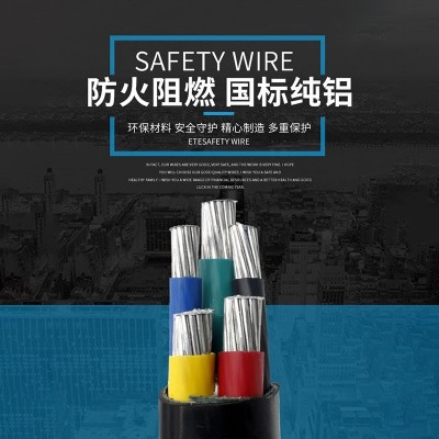 铝芯电缆线厂家直销铝电缆电源铝合金五芯三四芯户外YJLV导线图4
