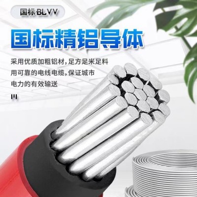铝芯电线BLVV铝线国标电线10-630平方双塑双胶现货防 潮铝缆图3